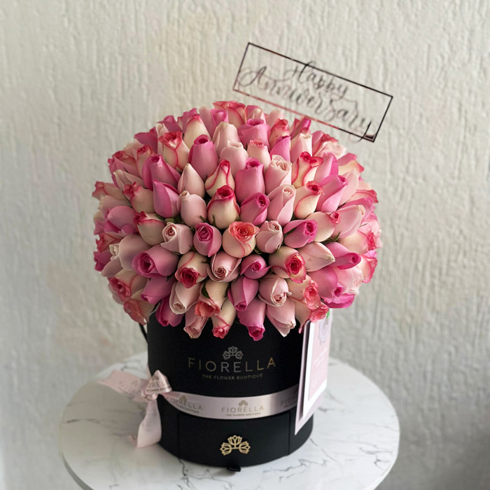 BLOOM CANDY CRUSH